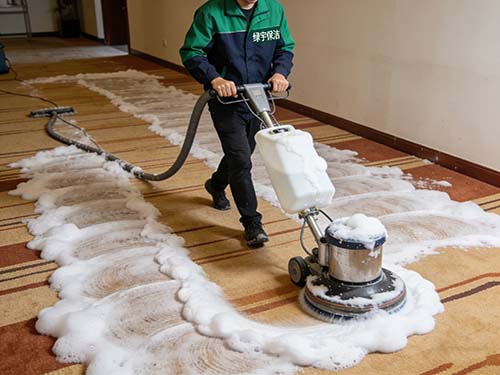 地毯清洗对象